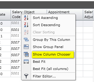 Show Column Chooser