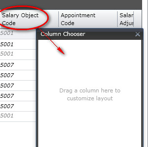 Select column to hide and drag to column chooser window