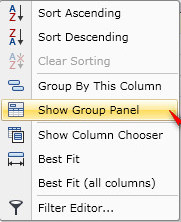 Show Group By Panel